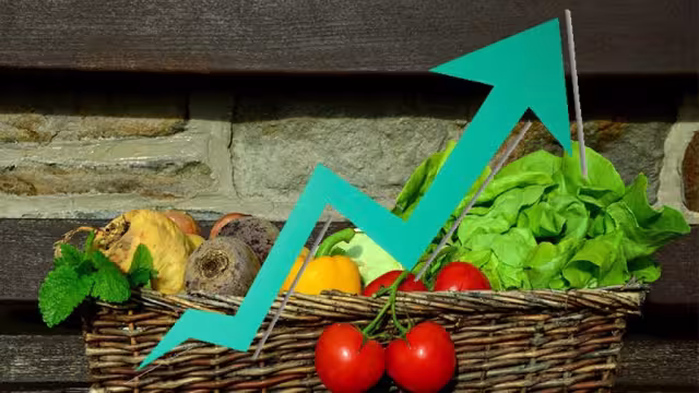 Desde el pan, hasta los productos de higiene personal subirán de precio