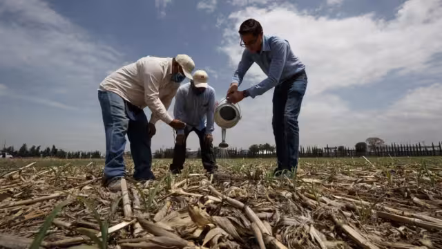 El deterioro avanza por prácticas agrícolas intensivas, urbanización y deforestación.
