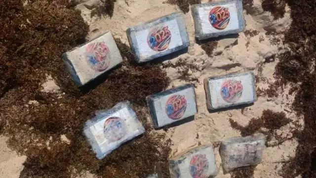 Autoridades federales decomisaron un cargamento de cocaína flotando frente a la costa de Playa del Carmen.