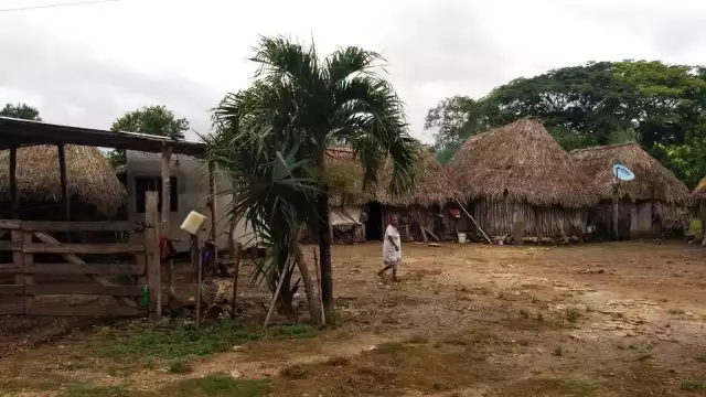 Las comunidades rurales se dicen olvidadas por el Gobierno de Quintana Roo, ya que no da más apoyos al campo