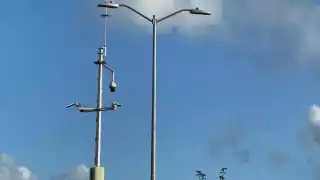 Se prevé que los trabajos finalicen a lo largo de 2025, además de que el sistema opere durante las 24 horas del día