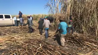 Productores afirmaron que la  salida de azúcar seguirá en pausa hasta tener nuevas indicaciones de las dirigencias nacionales
