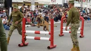 Campechanos esperan el desfile
