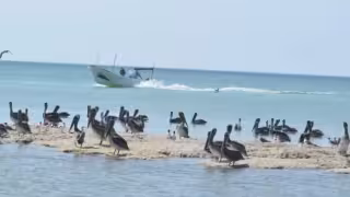 Yucatán blinda 11 reservas por un lustro