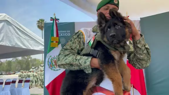Arkadas tiene apenas tres meses y hasta que tengo 2 años podrá operar como rescatista