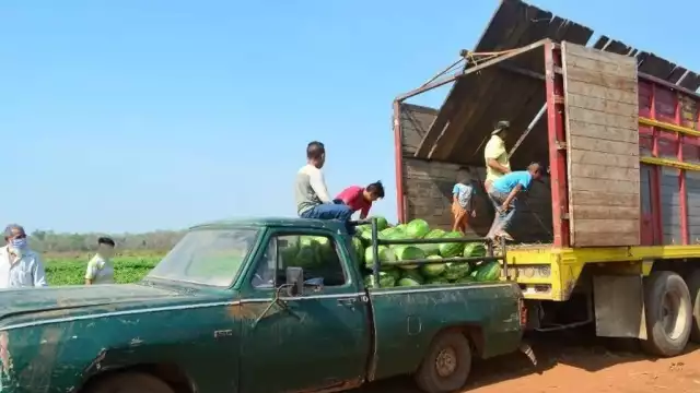 Lamentan que no pueden denunciarlos, porque no tienen facturas ni información para ubicarlos, señalan los afectados