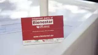 Celulares con los que es compatible el chip del bienestar