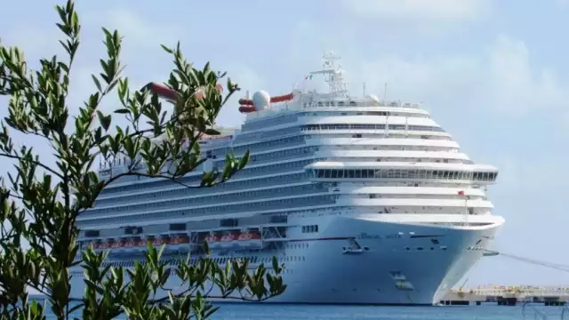 La llegada de cruceros a la isla de Cozumel se reactivó el 16 de junio con la llegada del transatlántico 'Adventure of the Seas'