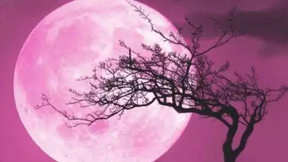 La Luna Rosa es uno de los fenómenos astronómicos de abril. Foto: Especial