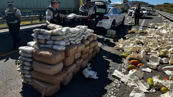 La localización ocurrió a la altura del kilómetro 10 de la carretera Pátzcuaro-Cuitzeo La localización ocurrió a la altura del kilómetro 10 de la carretera Pátzcuaro-Cuitzeo