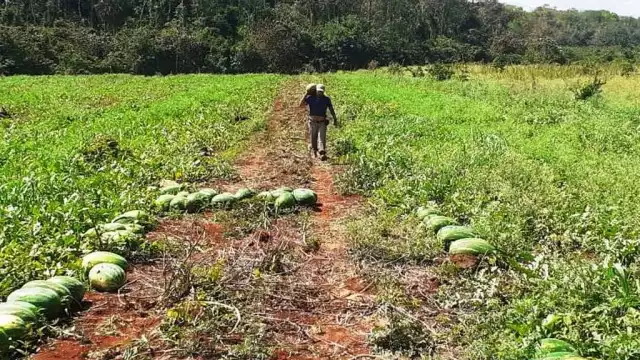 Quintana Roo presentó afectaciones por la sequía en la mayoría de su territorio, y que podría dejar a la Entidad en el estatus de 'moderada' en el monitor de la Conagua