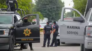 Elementos de la FGR y la Sedena realizaron el decomiso de drogas en Motul