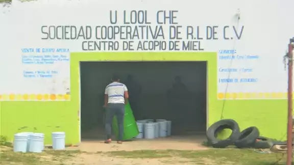 En la cabecera municipal hay unos tres centros de acopio de miel, pero éstos cierran cuando concluye la temporada de cosecha, a finales del mes de junio En la cabecera municipal hay unos tres centros de acopio de miel, pero éstos cierran cuando concluye la temporada de cosecha, a finales del mes de junio