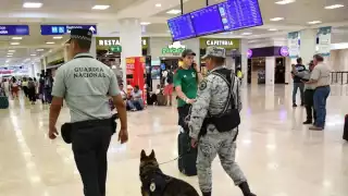En lo que va del 2025 se han detenido a 11 sospechosos por diversos delitos en el aeropuerto de Cancún