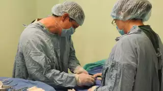  Integrantes del Colegio de Médicos de Campeche no realizarán abortos   