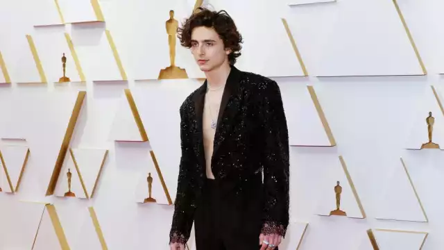 Timothee Chalamet lució un atuendo muy original. Foto: Getty Images