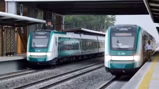 Tren Maya reanuda ruta Cancún–Playa del Carmen