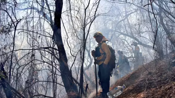Briigadistas realizaron los trabajos necesarios para sofocar el fuego. Foto: Twitter @CEECA_Morelos Briigadistas realizaron los trabajos necesarios para sofocar el fuego. Foto: Twitter @CEECA_Morelos