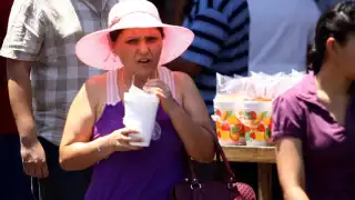 Se recomienda tomar precauciones ante las altas temperaturas