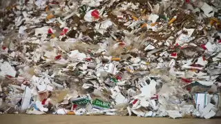 Los desperdicios fueron depositados en un relleno sanitario a través del apoyo de personal de la Industria Tabacalera.