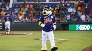 Los tigres están obligados a ganar la siguiente serie si quieren mejorar su clasificación en la zona sur de la Temporada 2021 de la Liga Mexicana de Béisbol
