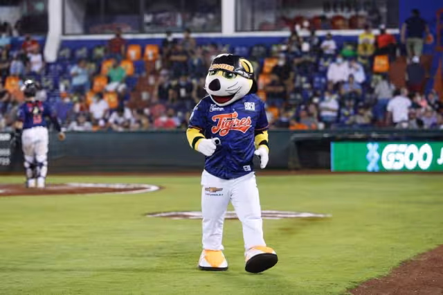 Los tigres están obligados a ganar la siguiente serie si quieren mejorar su clasificación en la zona sur de la Temporada 2021 de la Liga Mexicana de Béisbol