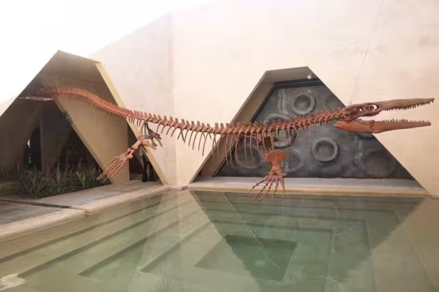 Se espera que el Museo del Meteorito se coloque como la mejor obra de arquitectura hecha en el mundo