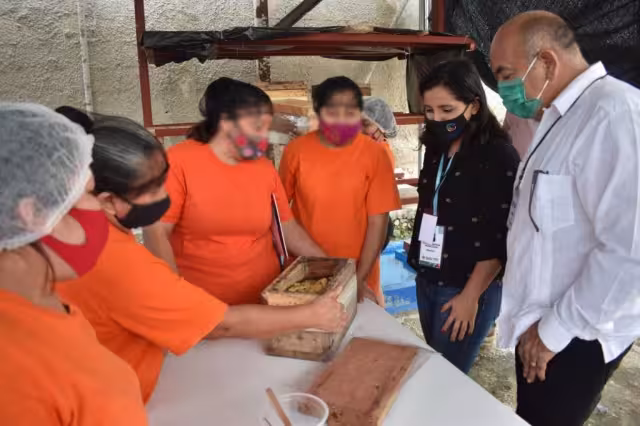 Las mujeres recibieron capacitación en apicultura