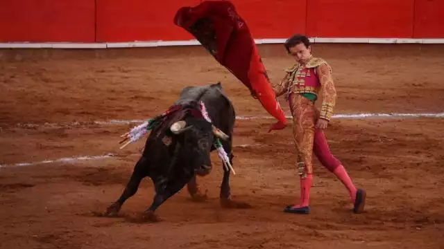 Una asociación civil enfocada en derechos de los animales celebró la resolución, aunque no es definitiva