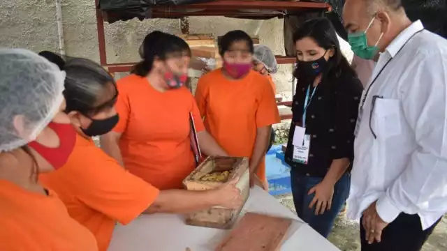 Las mujeres recibieron capacitación en apicultura