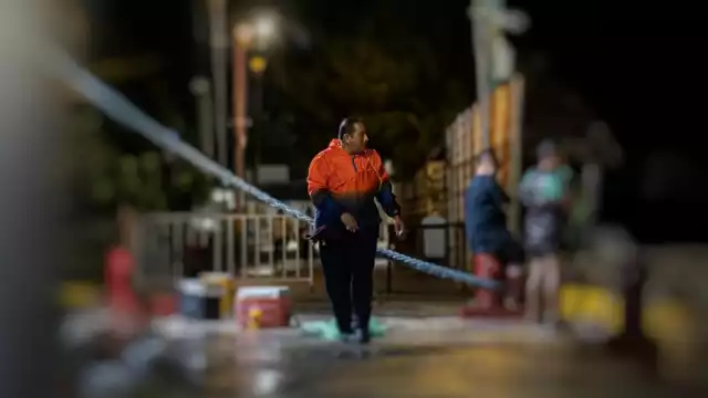 Sobrevivió a la mordedura de un pez muy venenoso