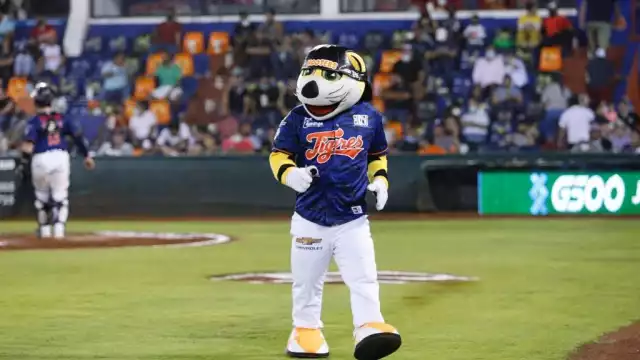 Los tigres están obligados a ganar la siguiente serie si quieren mejorar su clasificación en la zona sur de la Temporada 2021 de la Liga Mexicana de Béisbol