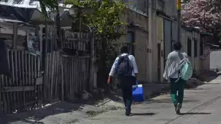 No existe ninguna brigada de planificación para la aplicación de la dosis en el estado