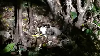 Autoridades acordonaron la zona para la preservación de indicios