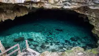Yucatán cuenta con un amplio número de cenotes