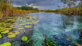 Estos cuerpos de agua son muy reconocidos por sus aguas cristalinas
