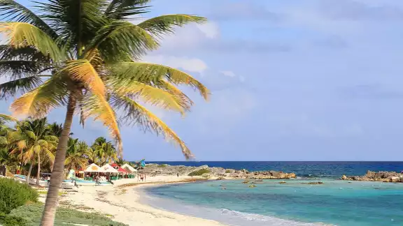 Cozumel no sólo tiene bellezas turísticas para conocer