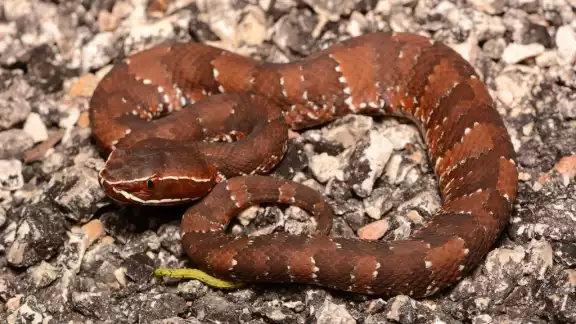 El Cantil Yucateco tiene presencia en los tres Estados de
la Península, además de algunas zonas de Tabasco y Chiapas El Cantil Yucateco tiene presencia en los tres Estados de
la Península, además de algunas zonas de Tabasco y Chiapas