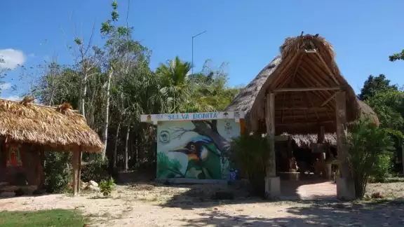 'Selva bonita' cuenta con 9 cabañas ecológicas construidas con materiales de la región 'Selva bonita' cuenta con 9 cabañas ecológicas construidas con materiales de la región