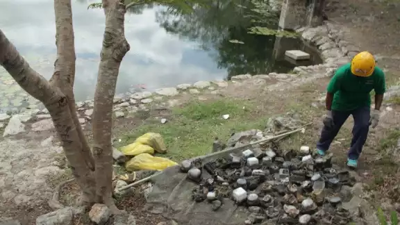 Se cuestiona sobre si los metales pesados de los medidores fue lo que originó la muerte de peces Se cuestiona sobre si los metales pesados de los medidores fue lo que originó la muerte de peces
