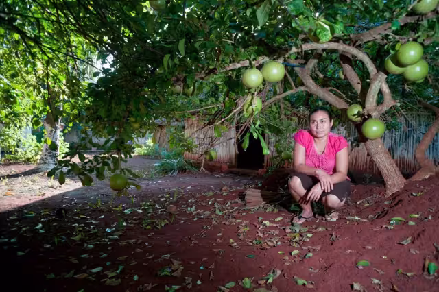 La especie abunda en los estados de Campeche, Chiapas, Guerrero Michoacán, Tabasco, Veracruz, Oaxaca, Quintana Roo y Yucatán.