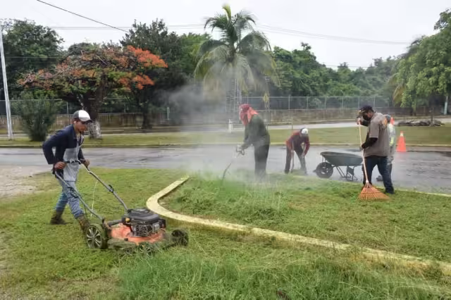 Los habitantes del Residencial Constituyentes acusan desinterés de la Directora de Participación Ciudadana del Ayuntamiento