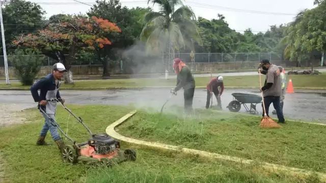 Los habitantes del Residencial Constituyentes acusan desinterés de la Directora de Participación Ciudadana del Ayuntamiento