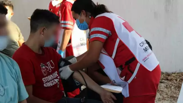 Se pudo corroborar que 67 provienen de Guatemala, 45 de La India, nueve de Brasil, nueve de República Dominicana, siete de Honduras, siete de Cuba, seis de Vietnam y cinco de El Salvador.