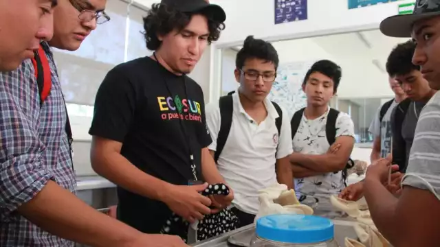 Actualmente muchos estudiantes no han podido hallar un empleo