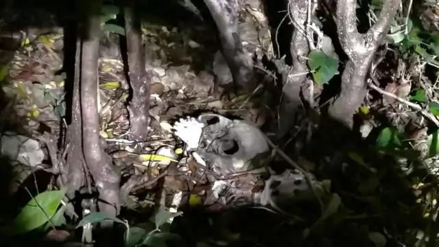 Autoridades acordonaron la zona para la preservación de indicios