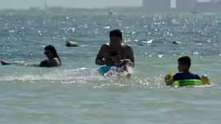 Hasta el momento, hay 652 pacientes en aislamiento social