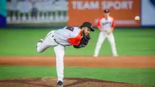 Tigres de Quintana Roo