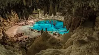 Grupo Xcaret causó daños a cenotes de Yucatán