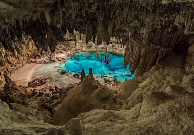 Grupo Xcaret causó daños a cenotes de Yucatán